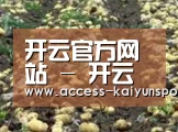 种植基地七