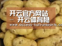 产品展示标题6