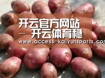 产品展示标题5