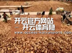 种植基地二