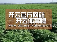 种植基地五