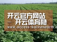 种植基地五(图1)