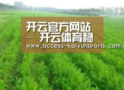 种植基地四