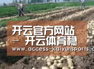 种植基地八