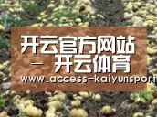 种植基地八(图1)