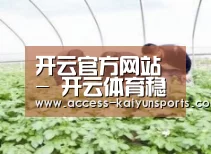 种植基地三