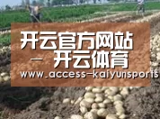 种植基地七(图1)