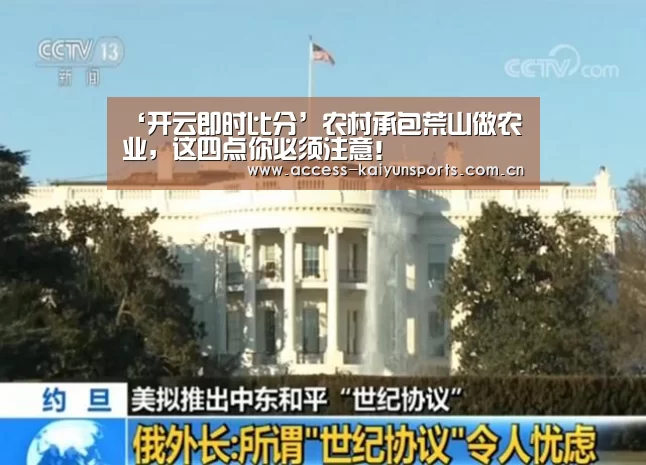 开云即时比分