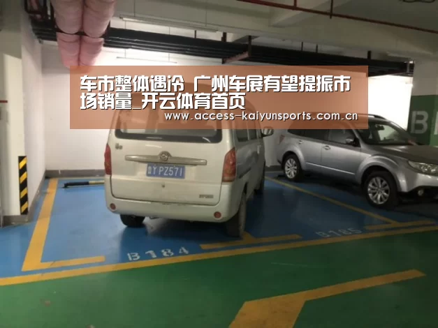 开云即时比分