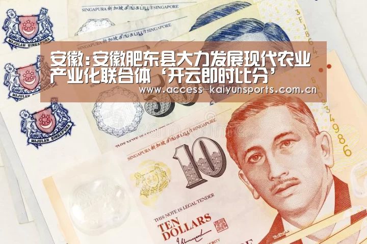 开云体育