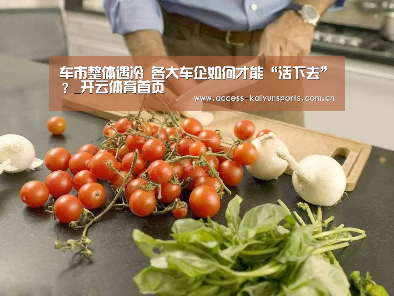 车市整体遇冷 各大车企如何才能“活下去”?_开云体育首页(图3) 开云体育首页