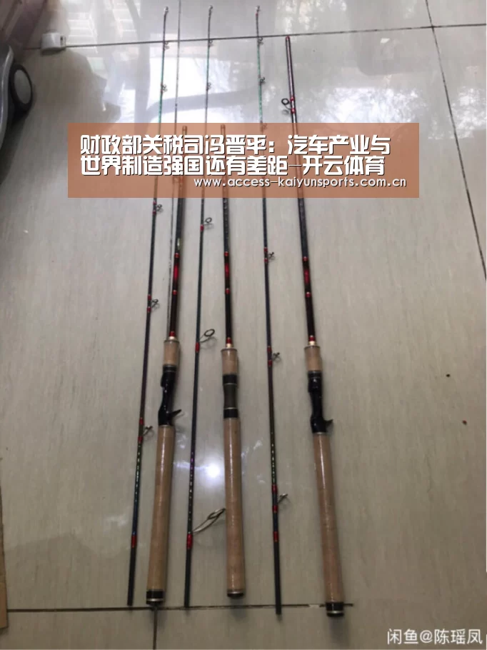 财政部关税司冯晋平:汽车产业与世界制造强国还有差距-开云体育(图1) KAIYUN入口
