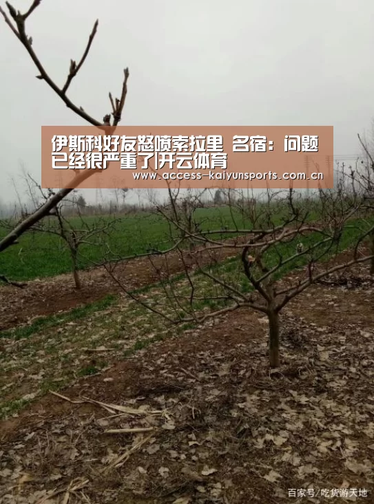 开云体育首页