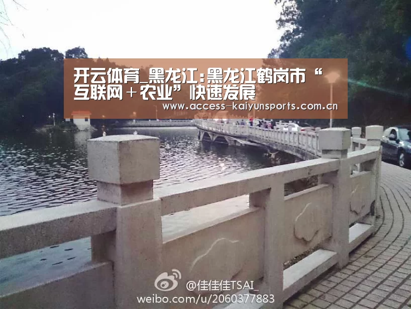 开云体育
