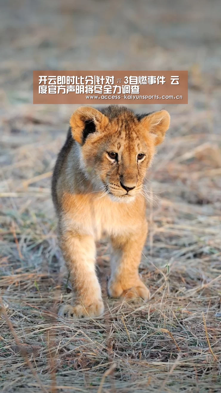 开云即时比分|针对π3自燃事件 云度官方声明将尽全力调查(图1) 开云体育