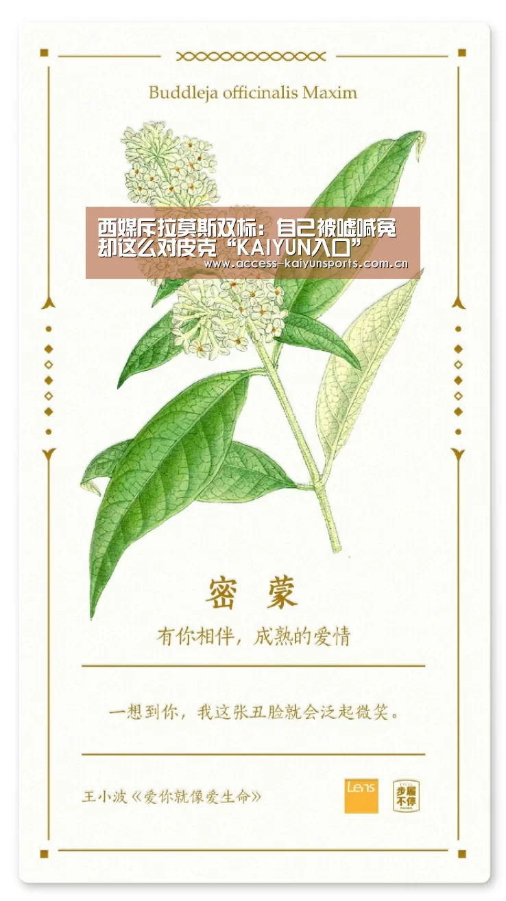 KAIYUN入口